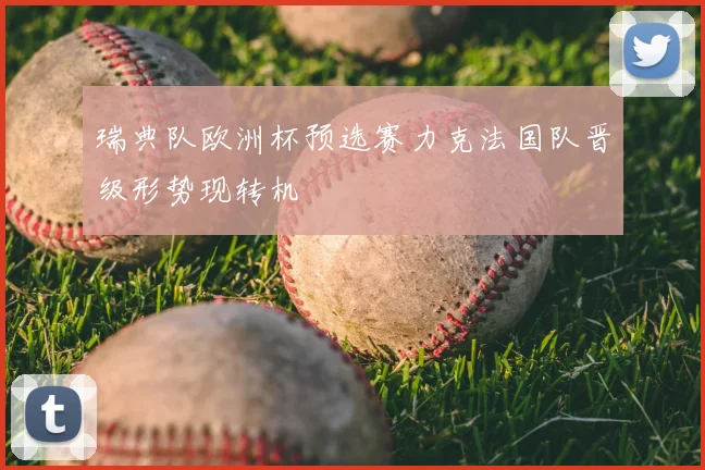 瑞典队欧洲杯预选赛力克法国队晋级形势现转机
