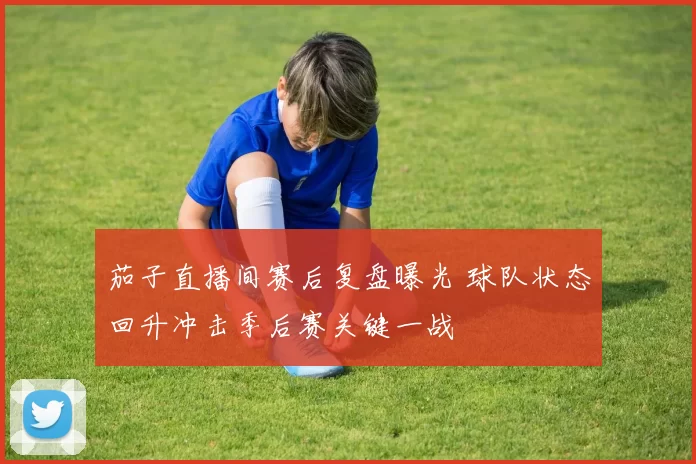 茄子直播间赛后复盘曝光 球队状态回升冲击季后赛关键一战