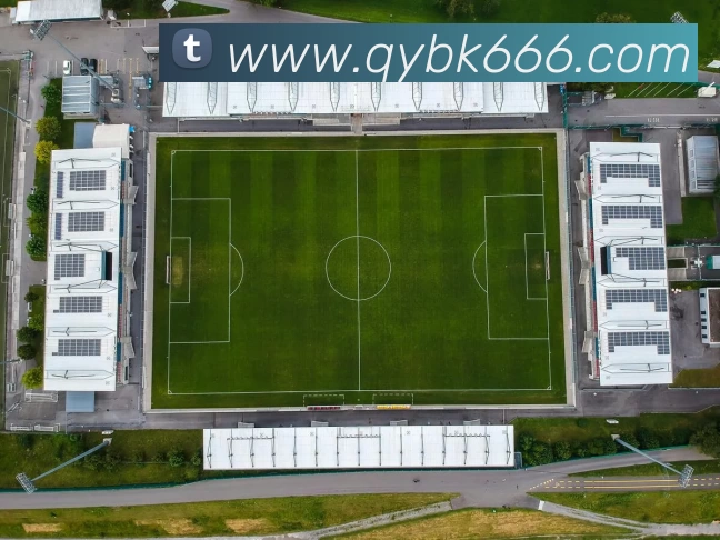 多媒体互动体验